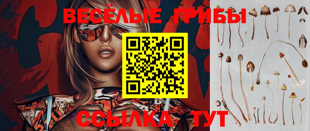Калининград  Галлюциногенные грибы Psilocybe  сколько стоит  Вход с VPN 