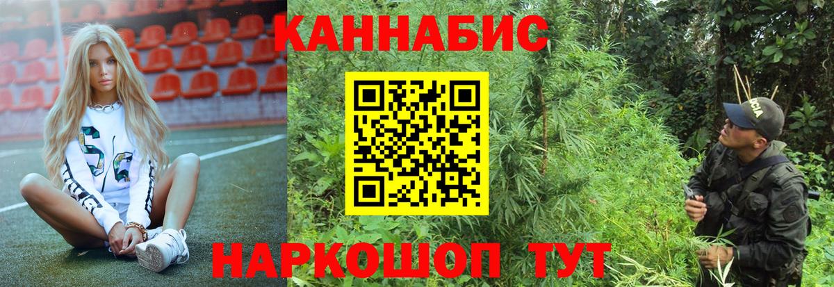 Канабис тримм  МАРИХУАНА планчик  Конопля планчик  Калининград  Бошки марихуана семена  Вход с VPN 